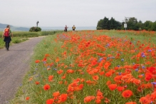 image007