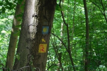 image039
